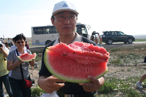 出售宁夏硒砂瓜，0.5元起价